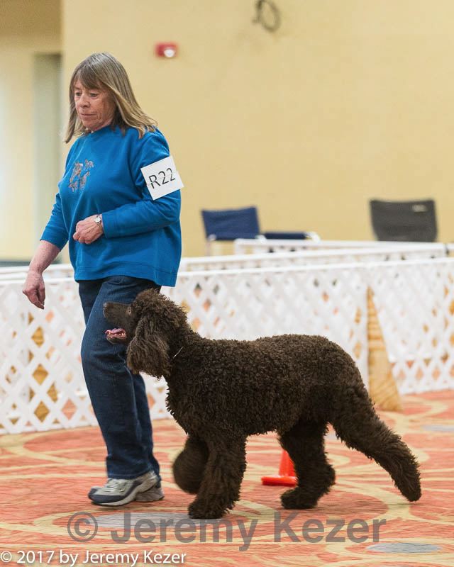20170427-ra-0076.jpg