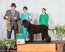 20170428-aw-0004