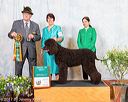 20170428-aw-0005