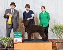 20170428-aw-0028