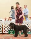20170428-co-1035