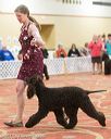 20170428-co-1039
