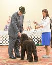 20170428-co-1115