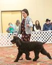 20170428-co-1169