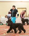 20170428-co-1181