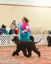 20170428-co-1213
