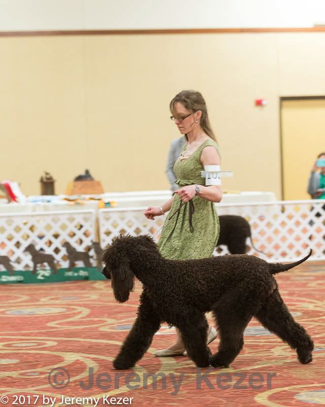 20170428-co-1157.jpg