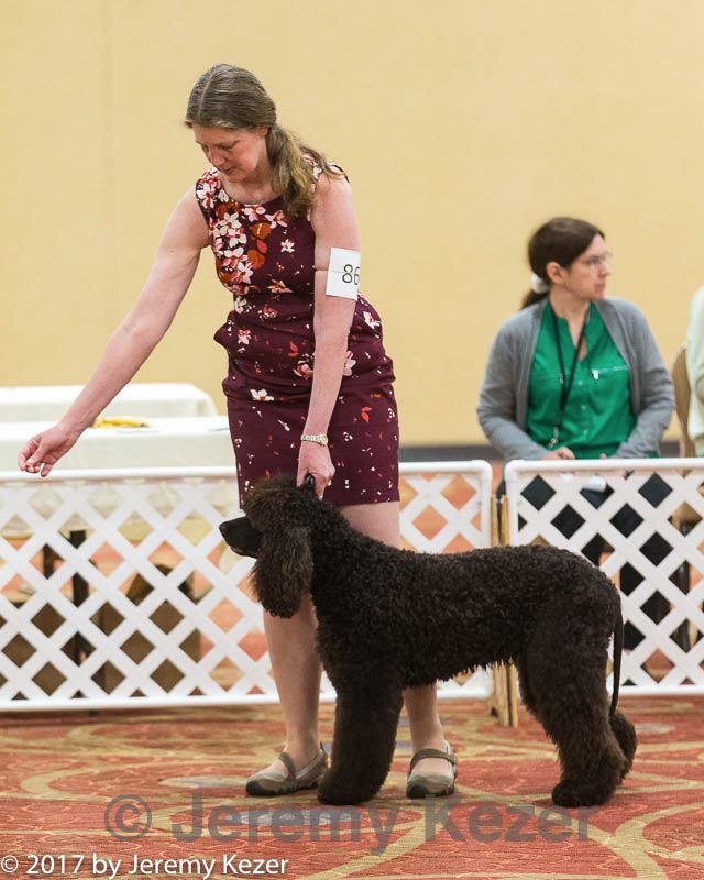 20170428-co-1189.jpg