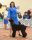 20170428-co-0322