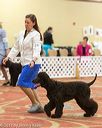 20170428-co-0350