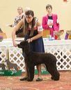 20170428-co-0378