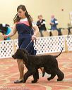 20170428-co-0382