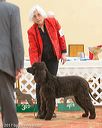 20170428-co-0389