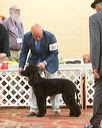 20170428-co-0460