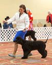 20170428-co-0486