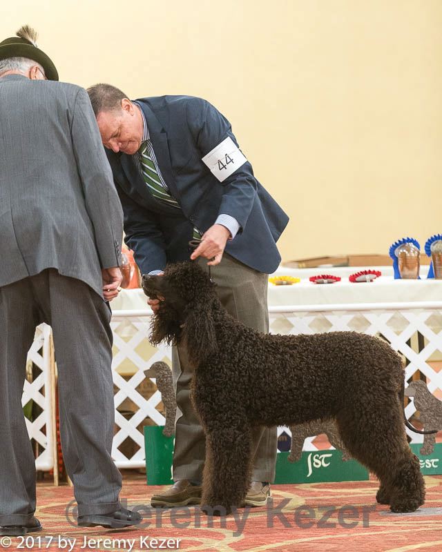 20170428-co-0492.jpg