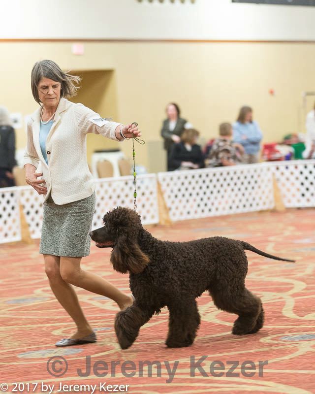 20170428-co-0843.jpg