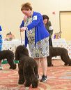 20170428-co-0567