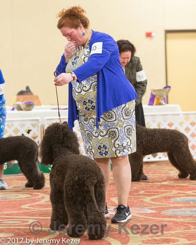 20170428-co-0567.jpg
