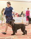 20170428-co-0741