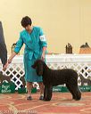 20170428-co-0776