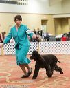 20170428-co-0780