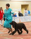 20170428-co-0784