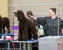 20170428-c-0027