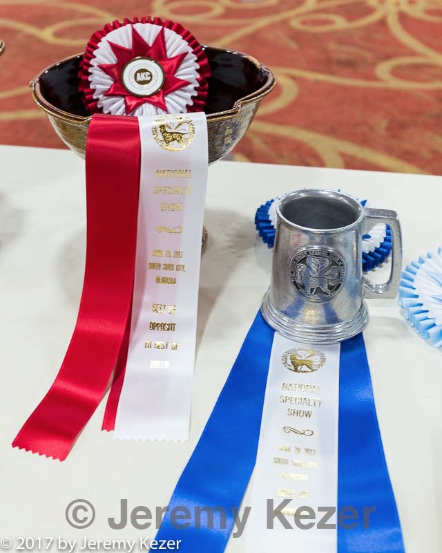 20170428-c-0011.jpg