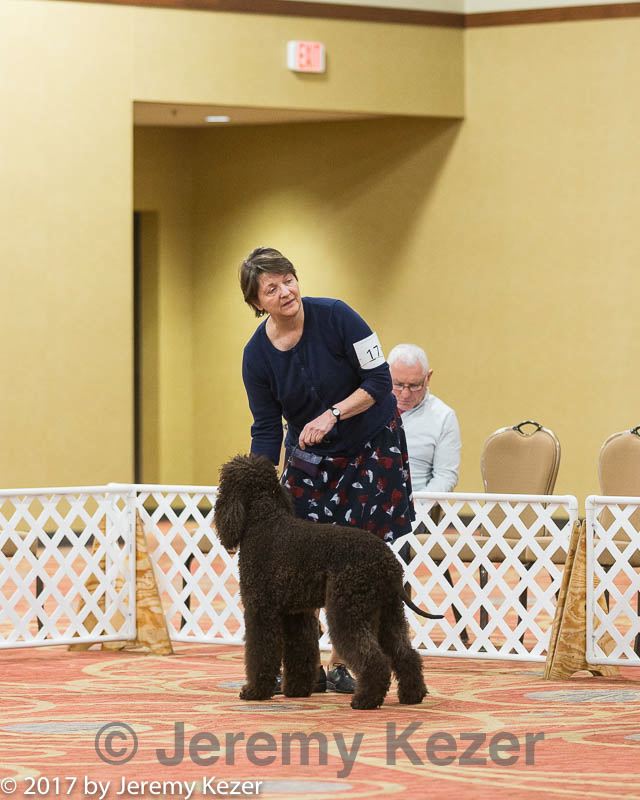 20170428-co-0146.jpg