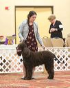 20170428-co-0691