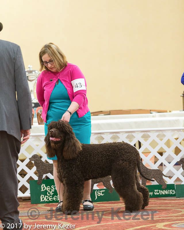 20170428-co-0675.jpg