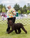 20170527-0028