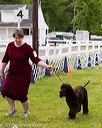 20170528-0031