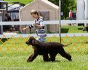 20170715-0238