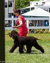 20170715-0253