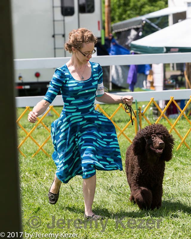 20170715-0264.jpg