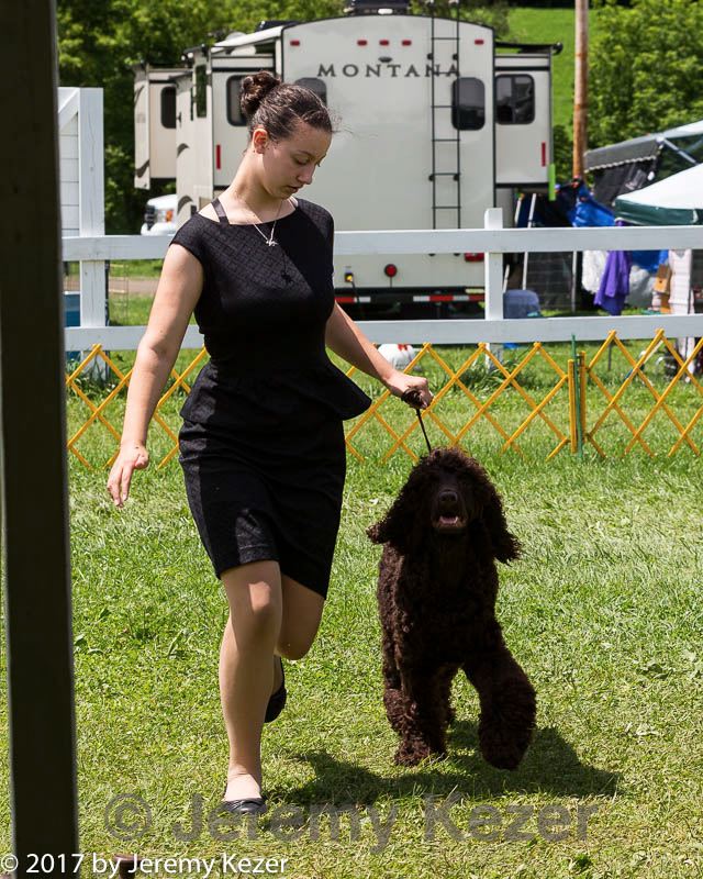 20170715-0130.jpg
