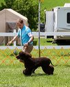 20170715-0148