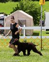 20170715-0178