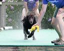 20170812-0311