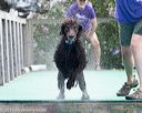 20170812-0314