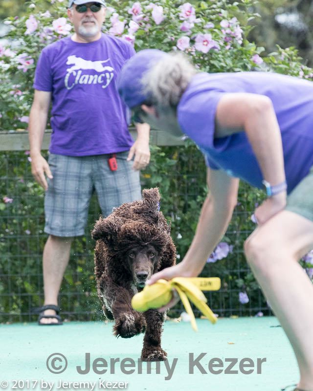 20170812-0297.jpg