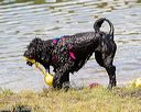 20170819-awd-0173
