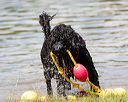 20170819-awd-0176