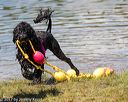 20170819-awd-0181