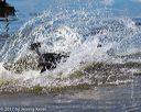 20170819-awd-0194