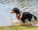 20170819-awd-0263
