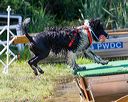 20170819-awd-0278