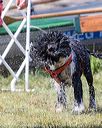 20170819-awd-0352